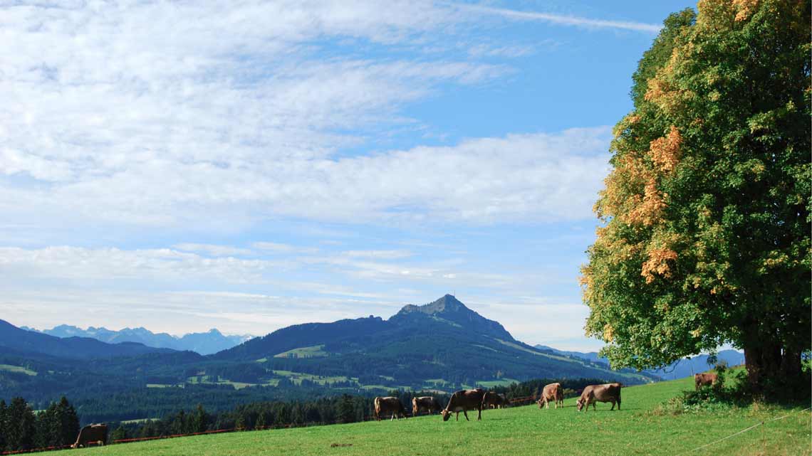 Alpenrundschau  Kultur in der Alpenregion